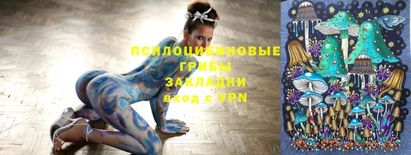 герыч Алексин