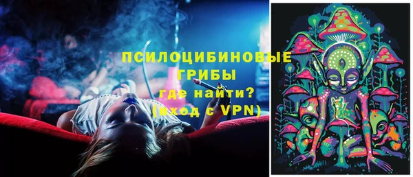 герыч Алексин
