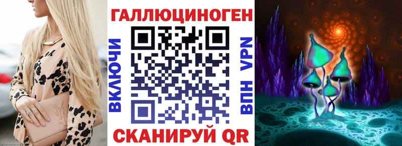 где купить   Волгодонск  Псилоцибиновые грибы мицелий 