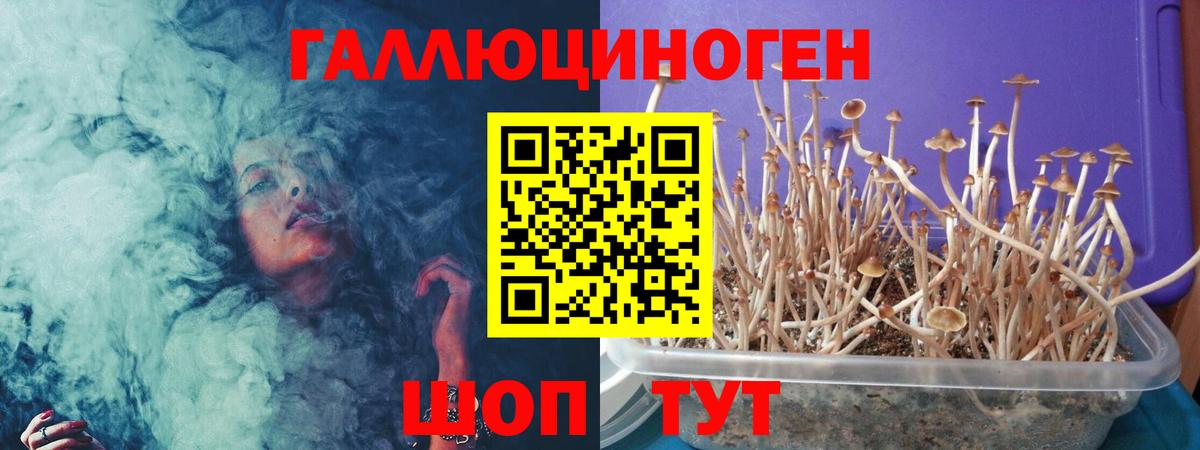 Галлюциногенные грибы мухоморы  Вход с VPN  Волгодонск 