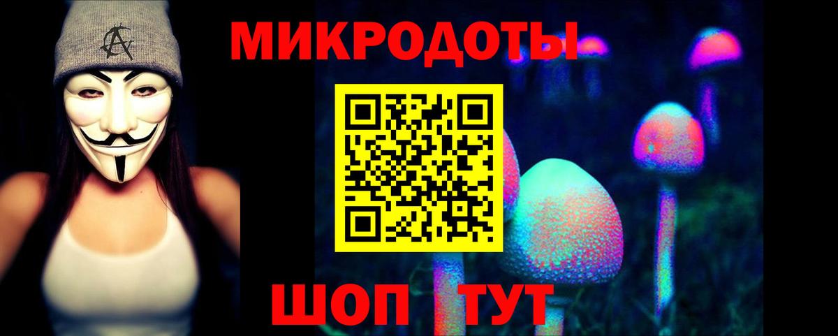 Галлюциногенные грибы Cubensis Волгодонск
